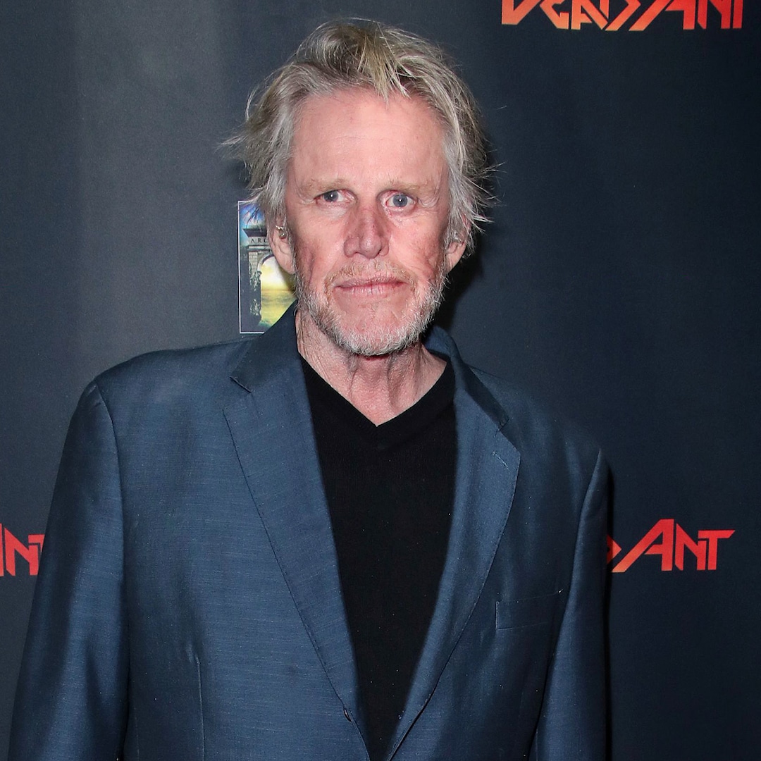 Gary Busey Charged With Sex Offenses at Monster-Mania Con